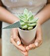 Succulent wedding favor by Jagger Photography