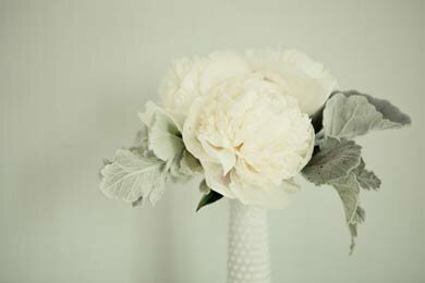 Ivory peonies and dusty miller